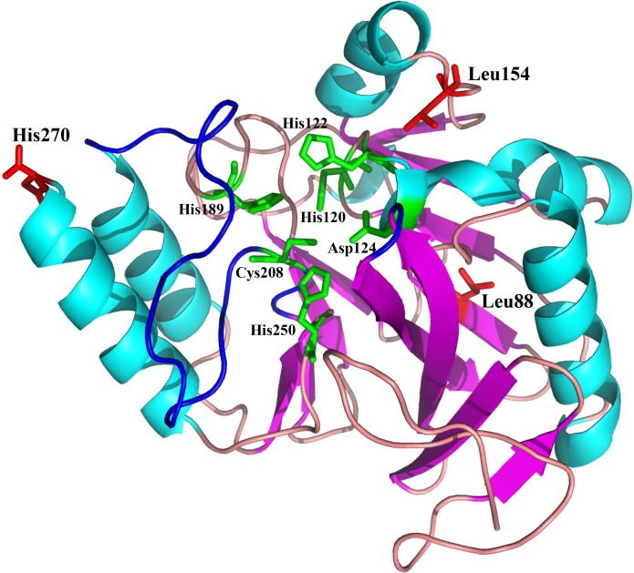 FIGURE 3