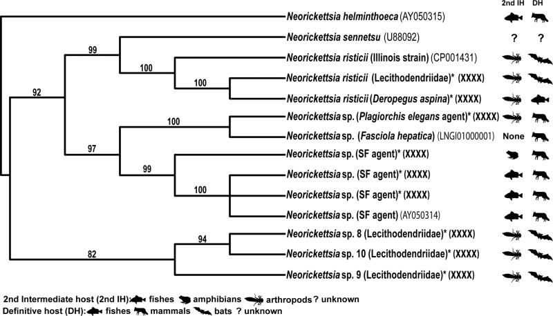 Fig. 2