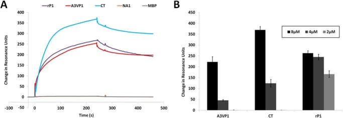 FIGURE 4.