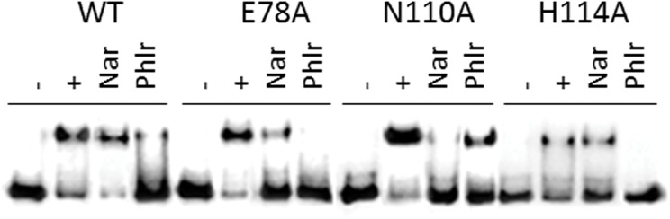 Fig 5