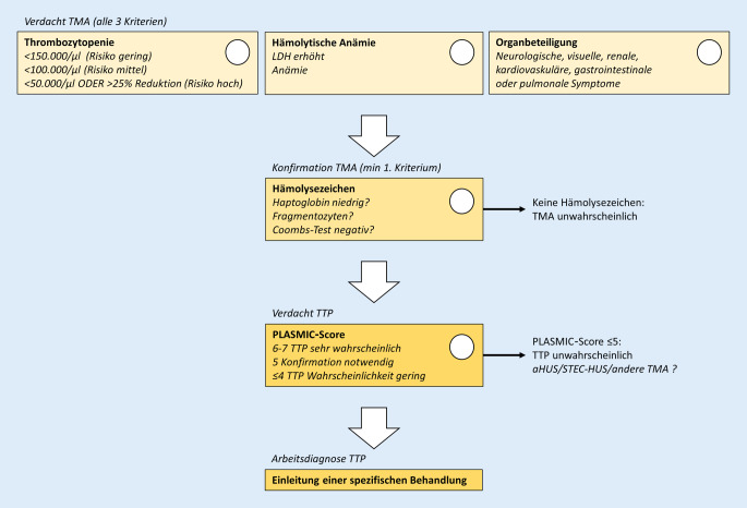 graphic file with name 63_2022_982_Fig1_HTML.jpg