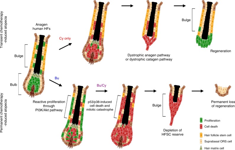 Fig. 9