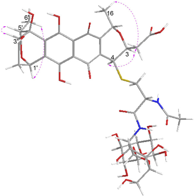 FIGURE 3