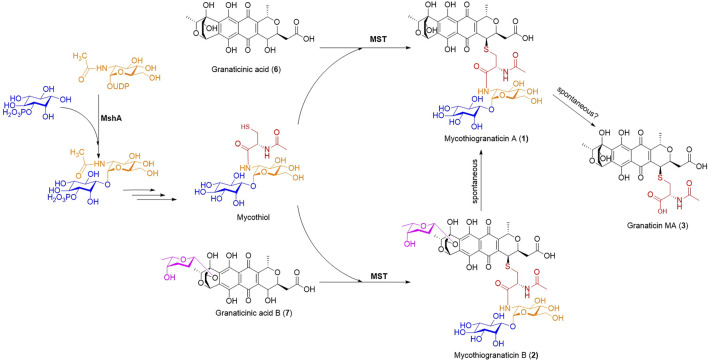 FIGURE 6