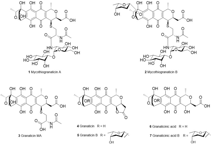 FIGURE 1