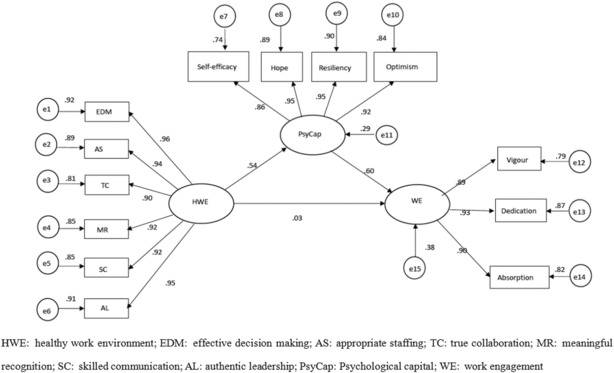 FIGURE 1