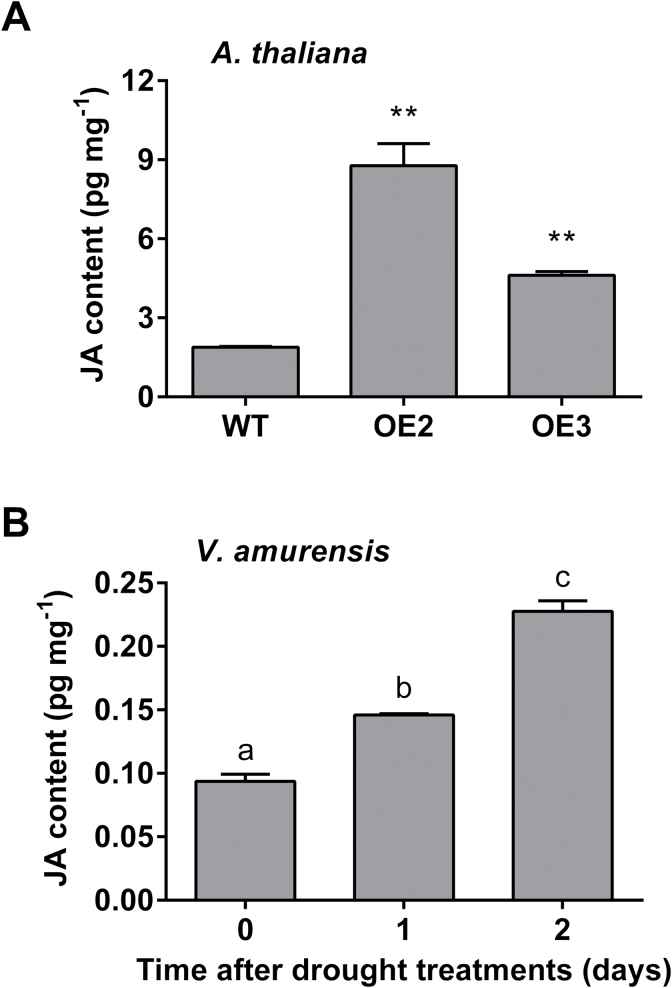 Fig. 10.