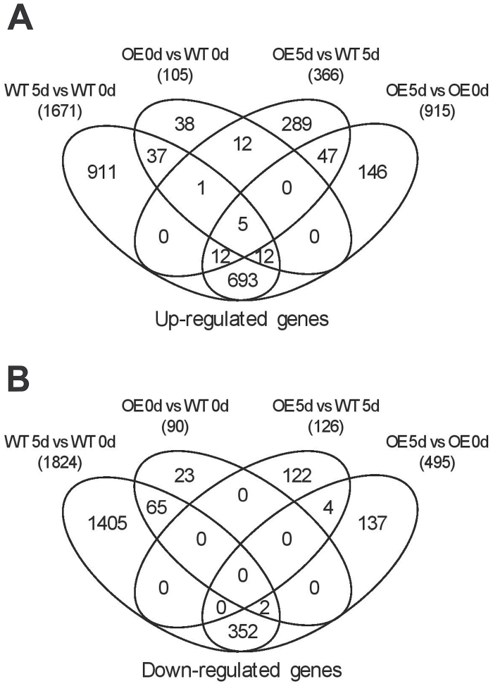 Fig. 8.