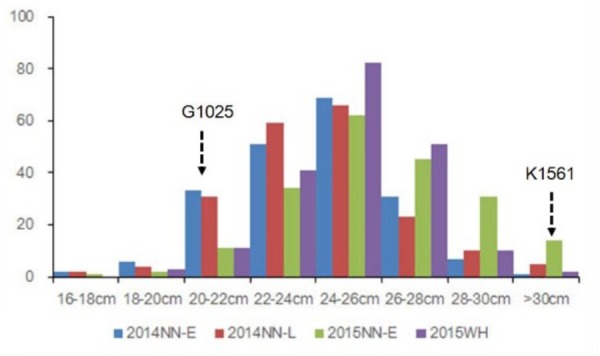 FIGURE 2