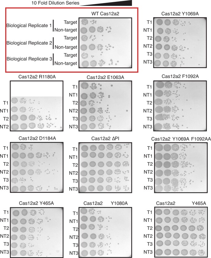 Extended Data Fig. 9