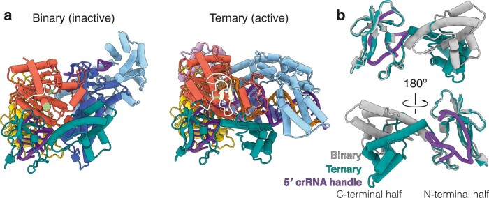 Extended Data Fig. 5