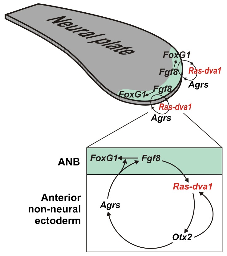 Fig. 8.