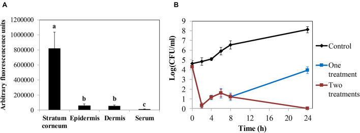 FIGURE 4