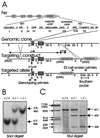 FIG. 1