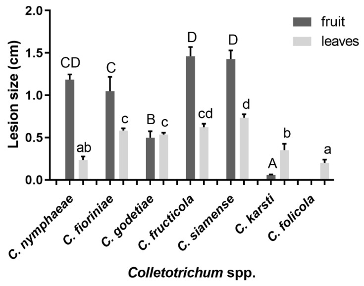 Figure 16