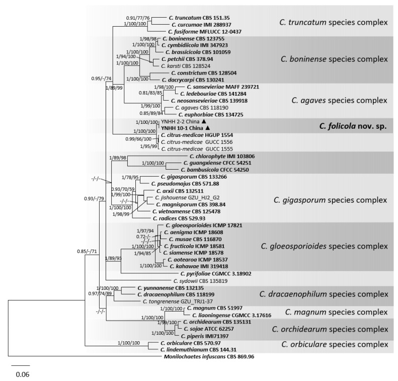 Figure 6