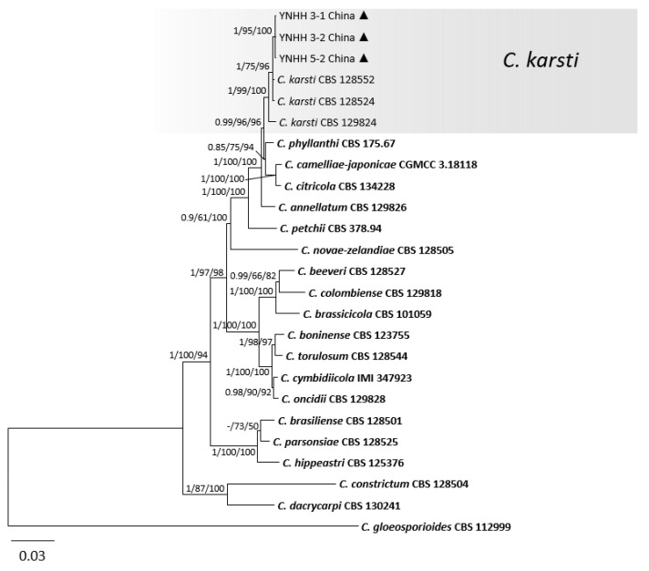 Figure 5