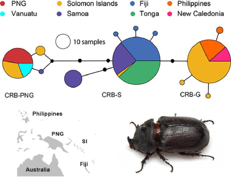 Image, graphical abstract