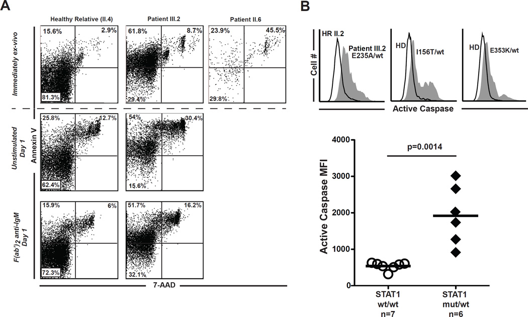 FIG 2