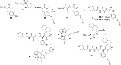 Scheme 4