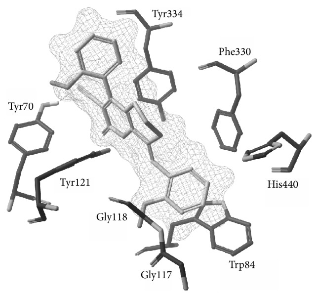 Figure 1