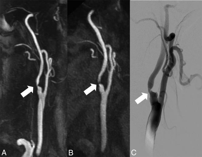 Fig 5.