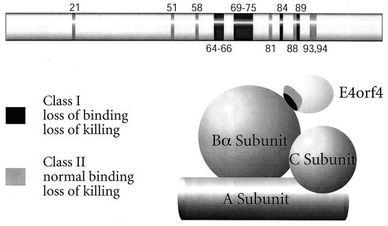 FIG. 7