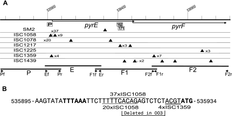 FIG. 1.