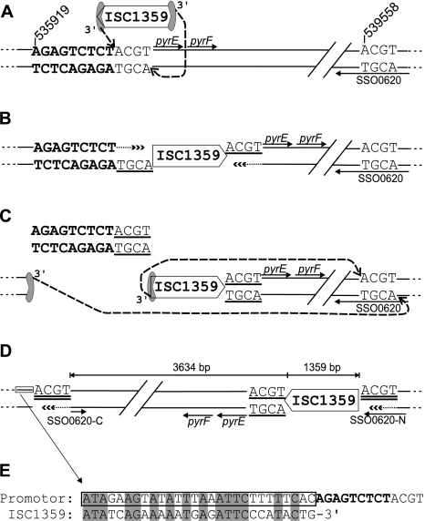 FIG. 5.