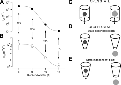 Figure 10.