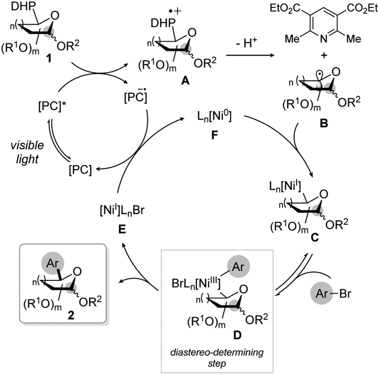 Scheme 3.