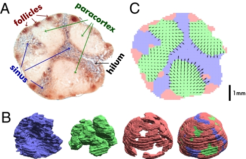 Fig. 4.