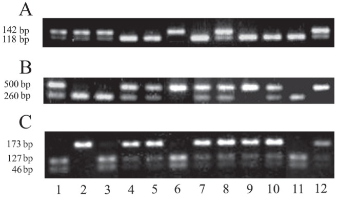 Figure 1)