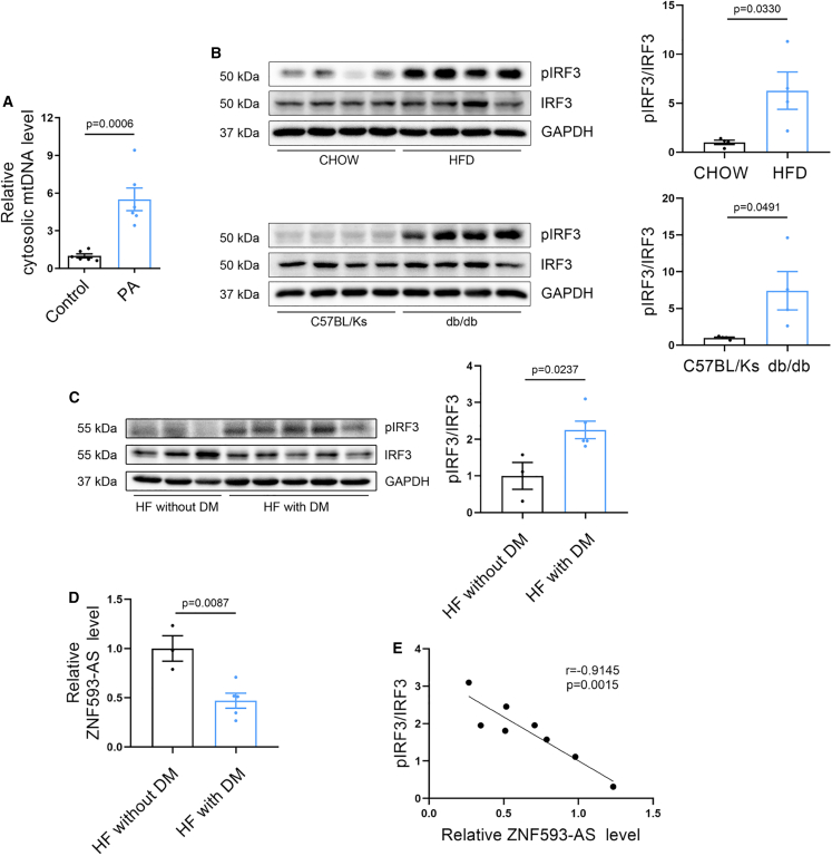 Figure 4