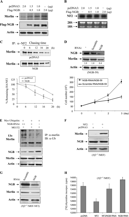 FIG. 8.