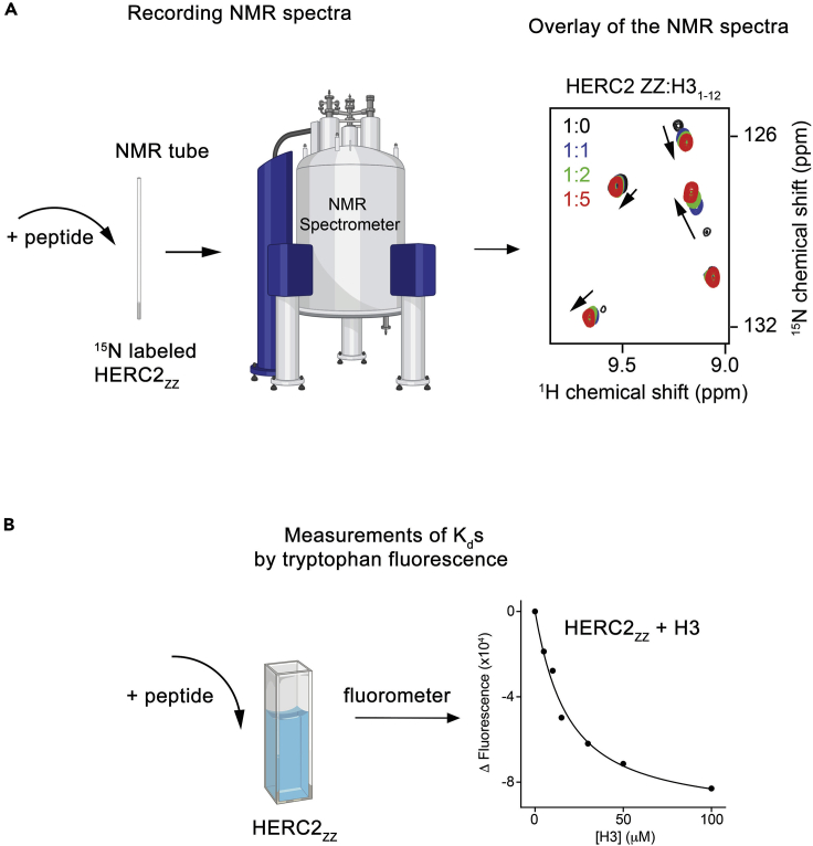 Figure 3