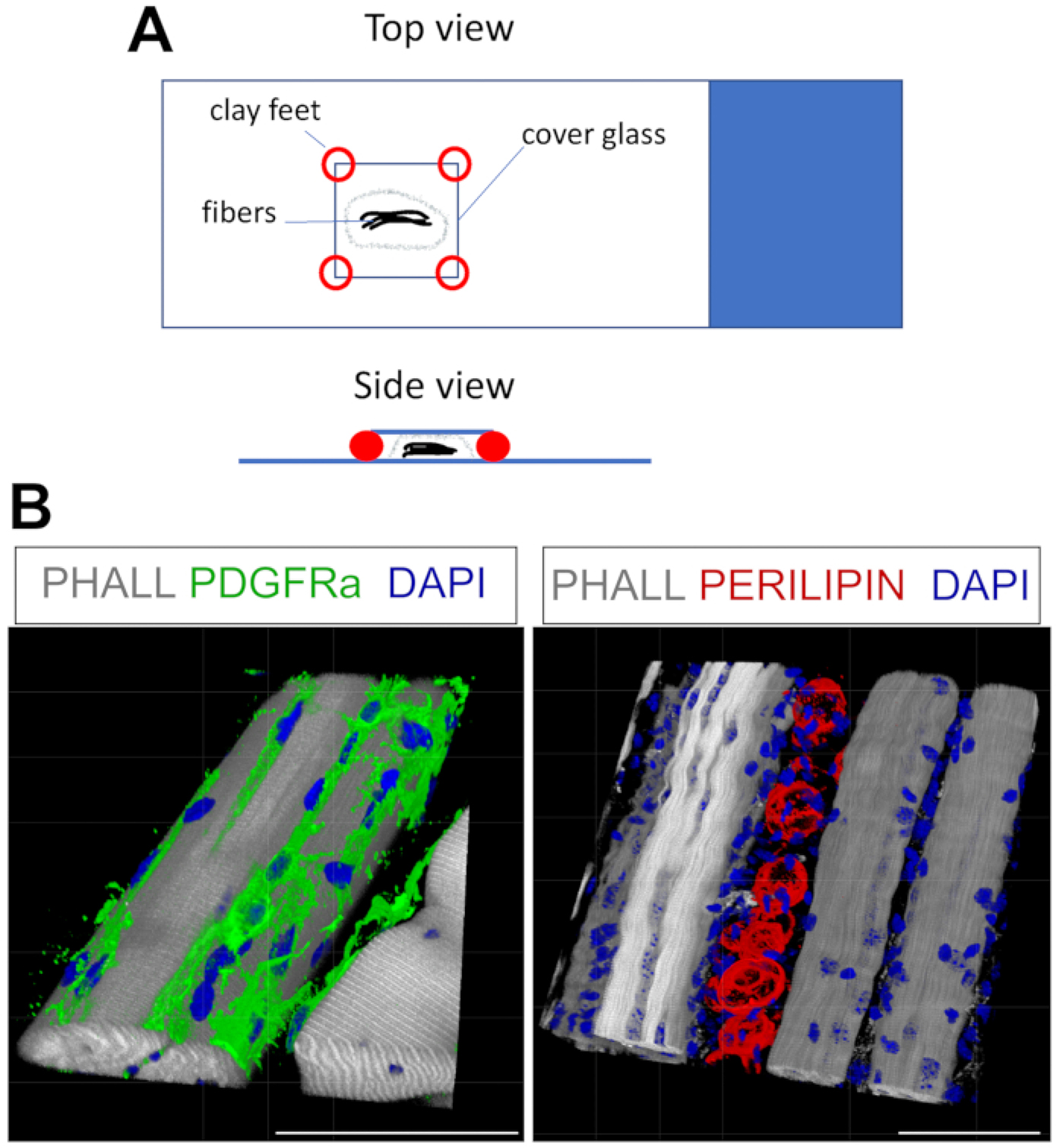 Figure 4: