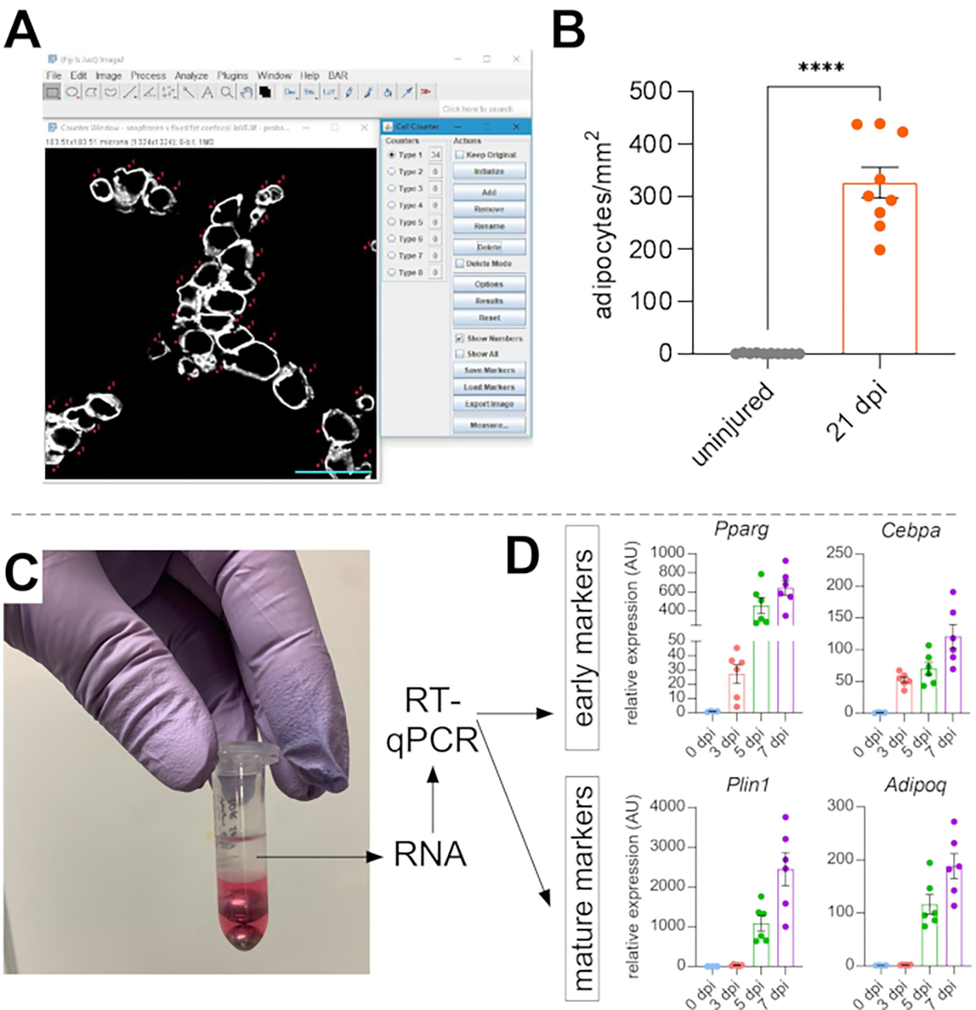 Figure 5: