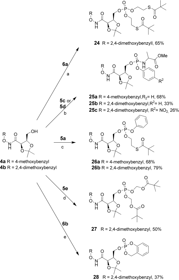 scheme 5