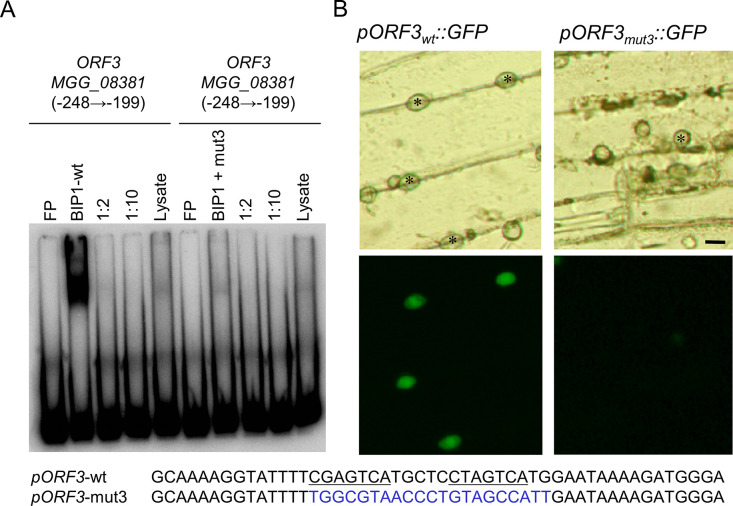 Fig 8