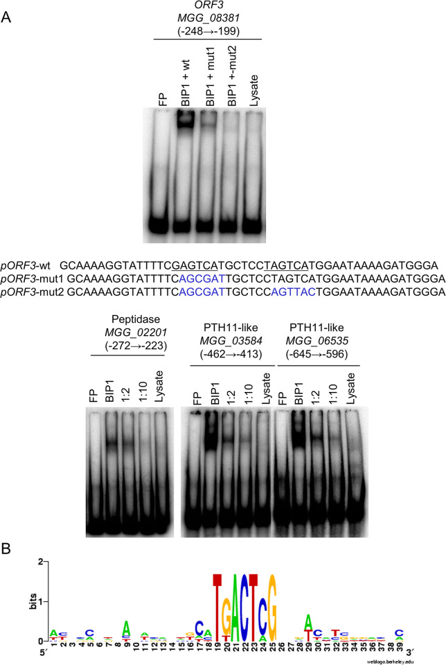 Fig 7