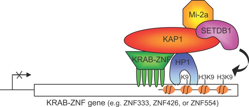 Figure 9