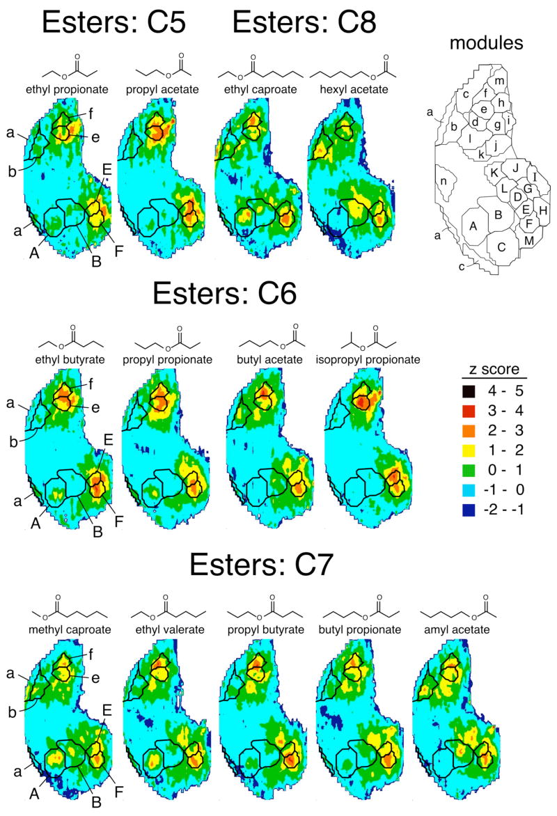 Fig. 4