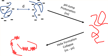 graphic file with name nihms-1028267-f0001.jpg