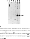 FIG. 6
