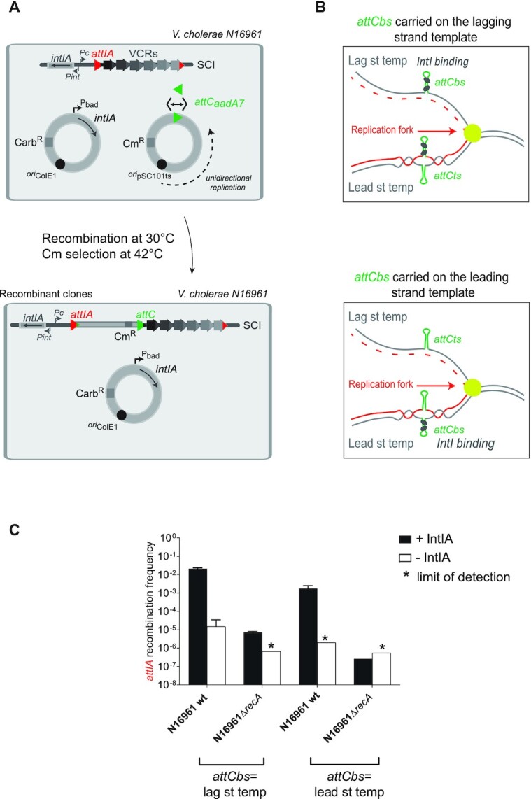 Figure 7.