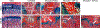 Figure 5: