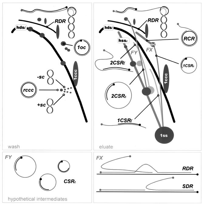 FIG. 4.