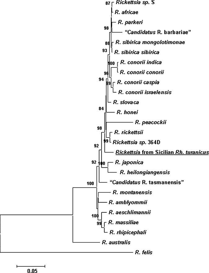 Figure 1.