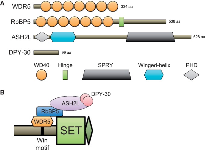 Figure 2: